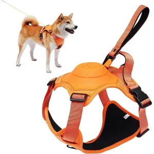 All-in-One Dog Harness and Retractable Leash Set